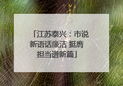 江苏泰兴：市说新语话廉洁 挺膺担当谱新篇