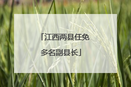 江西两县任免多名副县长