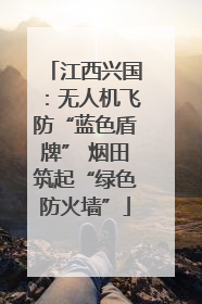 江西兴国：无人机飞防“蓝色盾牌” 烟田筑起“绿色防火墙”
