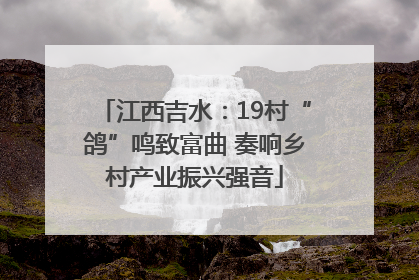 江西吉水：19村“鸽”鸣致富曲 奏响乡村产业振兴强音