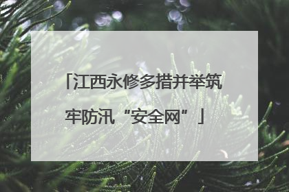 江西永修多措并举筑牢防汛“安全网”