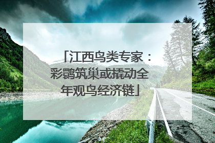 江西鸟类专家：彩鹮筑巢或撬动全年观鸟经济链