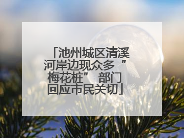 池州城区清溪河岸边现众多“梅花桩” 部门回应市民关切