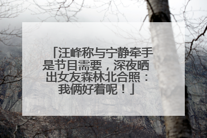 汪峰称与宁静牵手是节目需要，深夜晒出女友森林北合照：我俩好着呢！