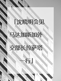 沈晓明会见马达加斯加外交部长拉萨塔一行