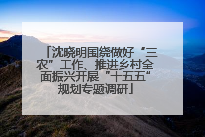 沈晓明围绕做好“三农”工作、推进乡村全面振兴开展“十五五”规划专题调研