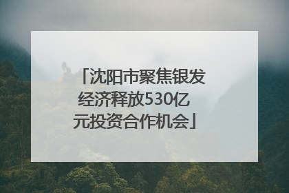 沈阳市聚焦银发经济释放530亿元投资合作机会