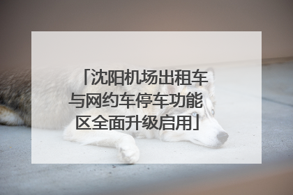 沈阳机场出租车与网约车停车功能区全面升级启用