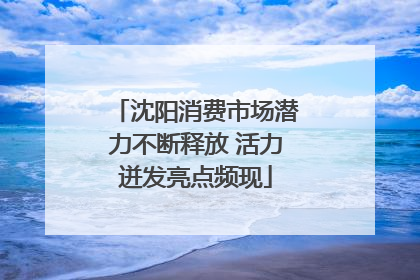 沈阳消费市场潜力不断释放 活力迸发亮点频现