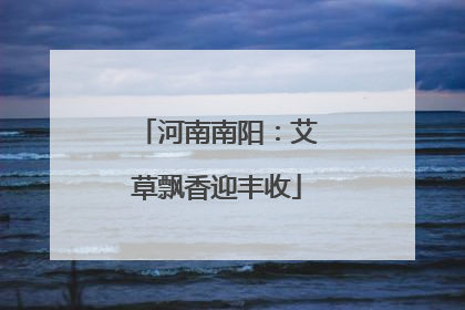 河南南阳：艾草飘香迎丰收
