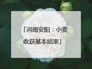 河南安阳：小麦收获基本结束