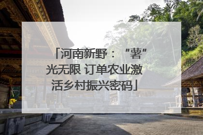 河南新野：“薯”光无限 订单农业激活乡村振兴密码