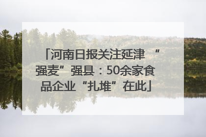 河南日报关注延津 “强麦”强县：50余家食品企业“扎堆”在此