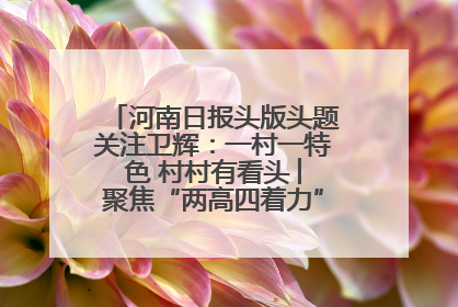 河南日报头版头题关注卫辉：一村一特色 村村有看头 ︳聚焦“两高四着力”·一“县”观察