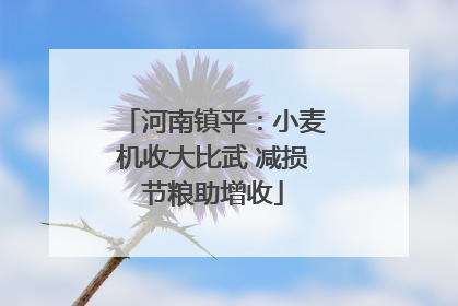 河南镇平：小麦机收大比武 减损节粮助增收
