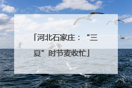 河北石家庄：“三夏”时节麦收忙
