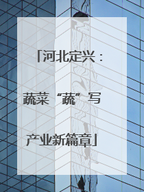 河北定兴：蔬菜“蔬”写产业新篇章