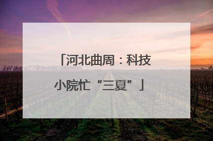 河北曲周：科技小院忙“三夏”