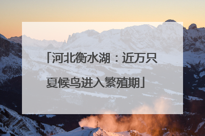 河北衡水湖：近万只夏候鸟进入繁殖期
