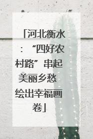 河北衡水：“四好农村路”串起美丽乡愁 绘出幸福画卷