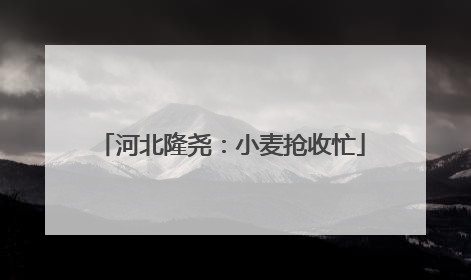 河北隆尧：小麦抢收忙