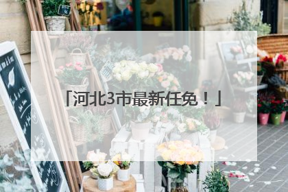 河北3市最新任免！