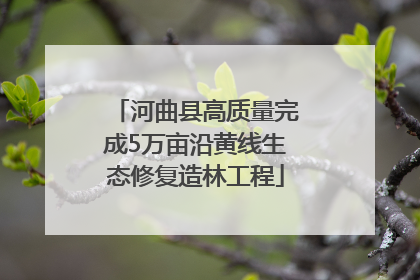河曲县高质量完成5万亩沿黄线生态修复造林工程