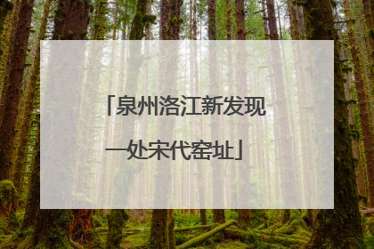 泉州洛江新发现一处宋代窑址