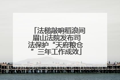 法槌敲响稻浪间 眉山法院发布司法保护“天府粮仓”三年工作成效