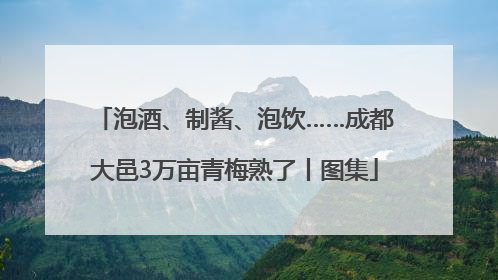 泡酒、制酱、泡饮……成都大邑3万亩青梅熟了丨图集