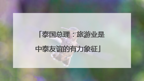 泰国总理：旅游业是中泰友谊的有力象征
