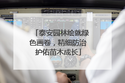 泰安园林绘就绿色画卷，精细防治护佑苗木成长