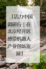 活力中国调研行｜在北京经开区感受机器人产业创新发展