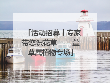 活动招募丨专家带您识花草——萱草属植物专场