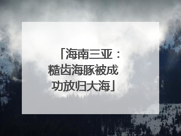 海南三亚：糙齿海豚被成功放归大海