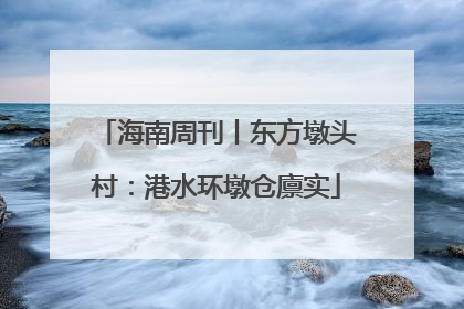 海南周刊丨东方墩头村：港水环墩仓廪实