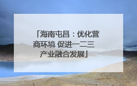海南屯昌：优化营商环境 促进一二三产业融合发展