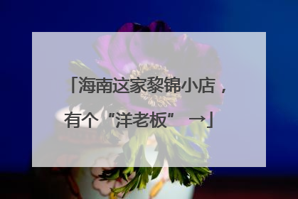 海南这家黎锦小店，有个“洋老板” →