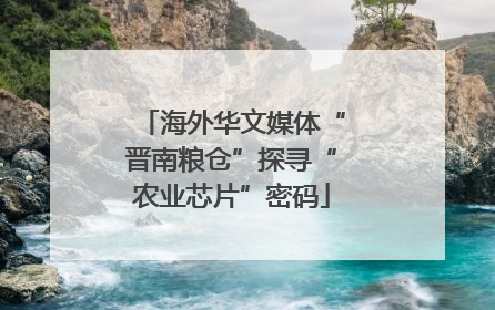 海外华文媒体“晋南粮仓”探寻“农业芯片”密码