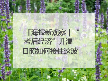 海报新观察｜“考后经济”升温 日照如何接住这波“流量”