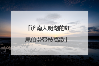 济南大明湖的红尾伯劳登枝高歌