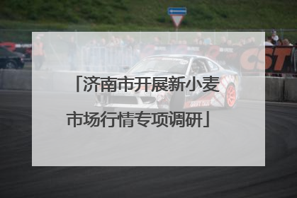 济南市开展新小麦市场行情专项调研