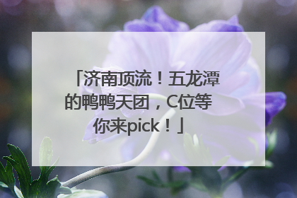 济南顶流！五龙潭的鸭鸭天团，C位等你来pick！