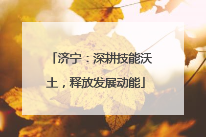 济宁：深耕技能沃土，释放发展动能