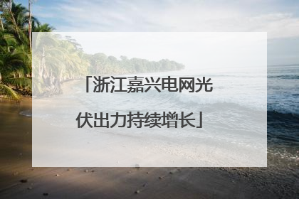 浙江嘉兴电网光伏出力持续增长
