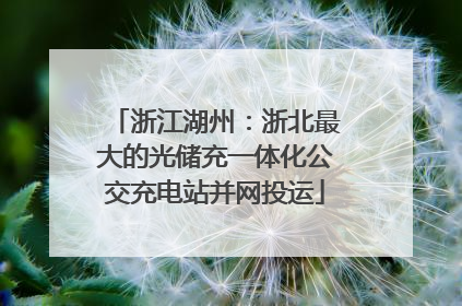 浙江湖州：浙北最大的光储充一体化公交充电站并网投运