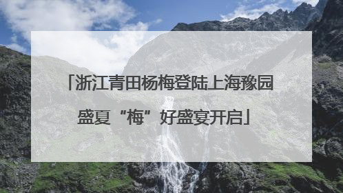 浙江青田杨梅登陆上海豫园 盛夏“梅”好盛宴开启