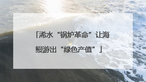 浠水“锅炉革命”让海鳗游出“绿色产值”