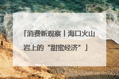 消费新观察丨海口火山岩上的“甜蜜经济”