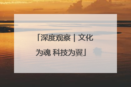 深度观察｜文化为魂 科技为翼
